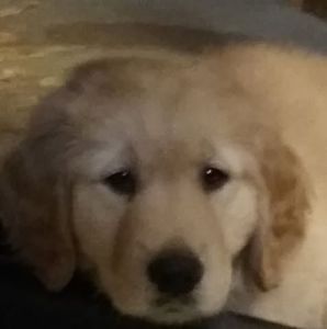 Meet your Posher, Maryann